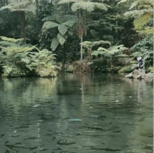 Screenshot 2025-07-09 153114