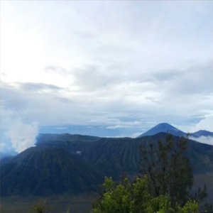 Screenshot 2025-07-09 153303