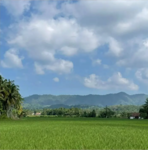 Screenshot 2025-07-09 153853